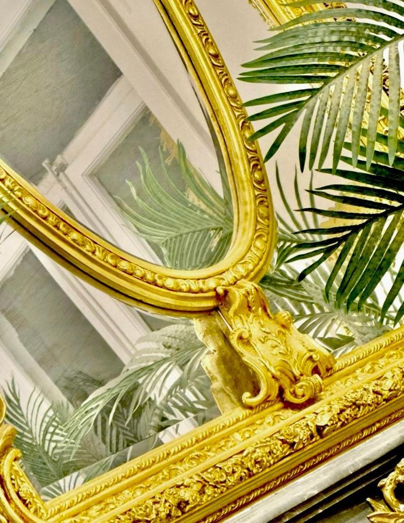 04 Tourcoing - St Barth Style Jungle Room Exterior foto